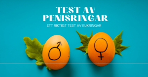 Läs mer om artikeln Ett riktigt test av penisringar – Bäst i test 2022